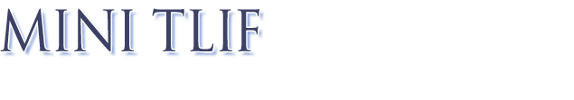 MINI TLIF